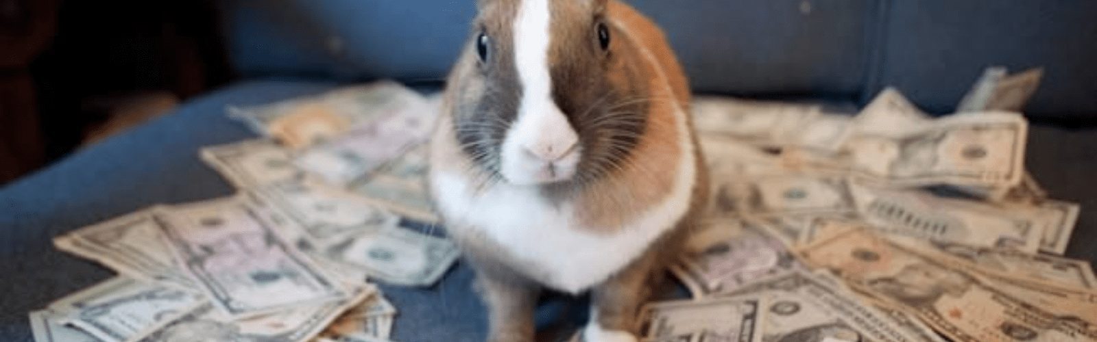 donations-banner